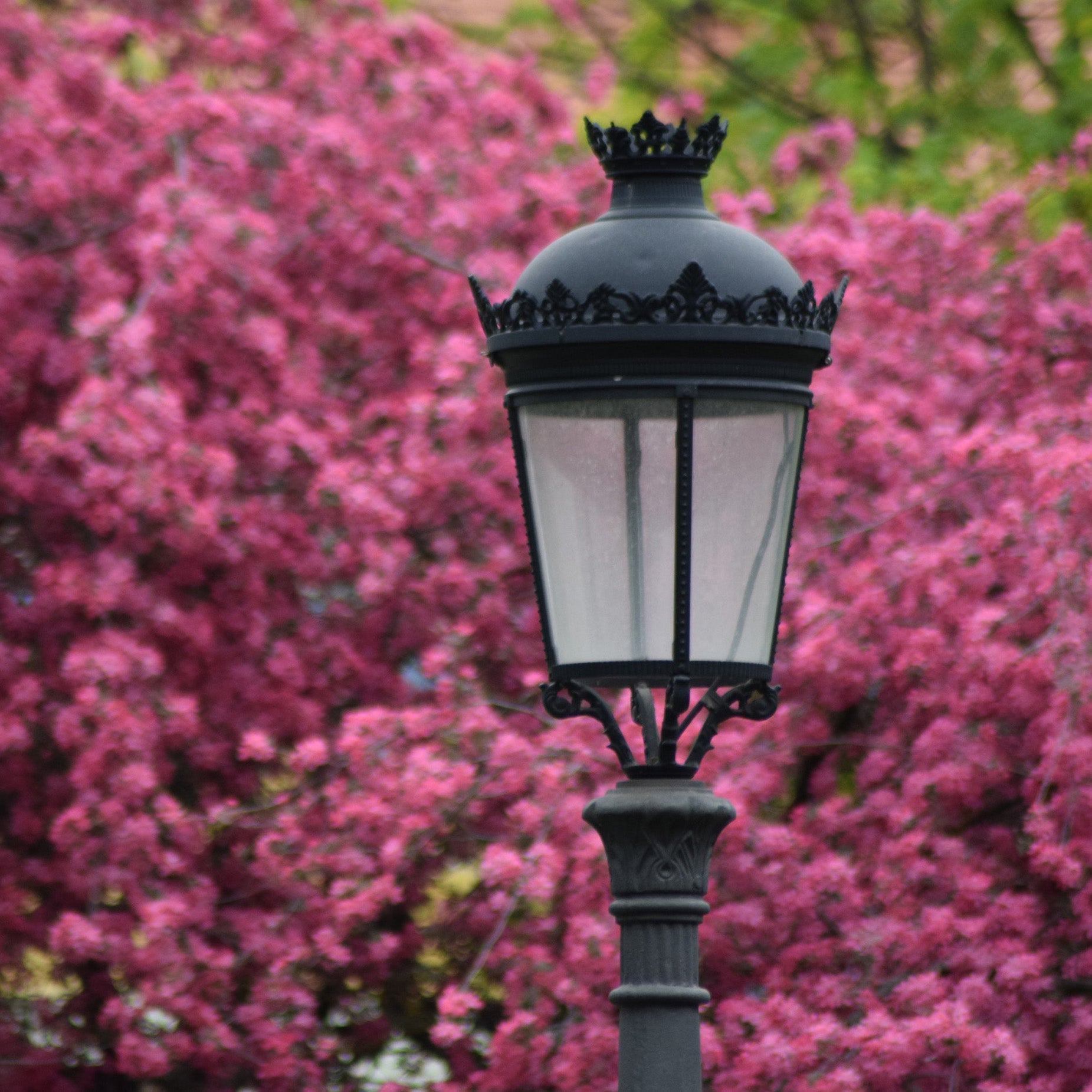 Outdoor Lighting
