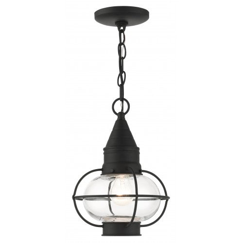 ##Antique Hardware## 1 Light Black Outdoor Pendant Lantern