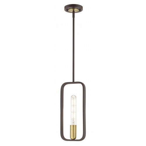 ##Antique Hardware## 1 Light Bronze with Antique Brass Accents Pendant
