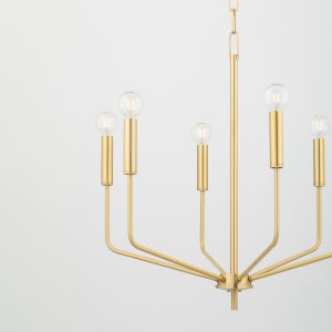 ##Antique Hardware## Bailey Chandelier