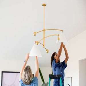 Antique Hardware Birdie Chandelier Chandelier