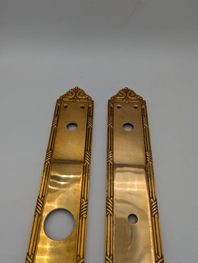 ##Antique Hardware## Open Box Sale Item 13 3/4 Inch Solid Brass Ribbon & Reed Push Plate (Polished Brass Finish)